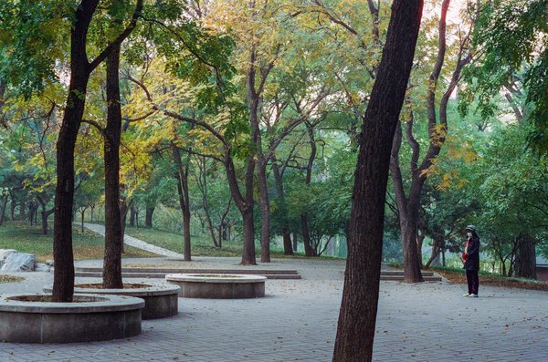 Choisir le Médecin Parfait pour Votre Consultation en Ligne : Le Guide Complet Ultime à Ne Pas Manquer !