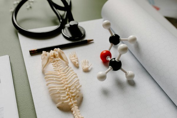 Révolution minceur : La Chrononutrition l'approche novatrice pour votre alimentation